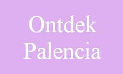 bezienswaardigheden Palencia