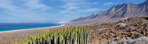 vakantie reizen naar steden en dorpen Santa Cruz de Tenerife