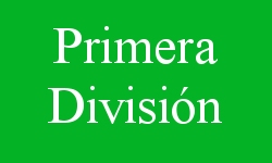 Primera_division